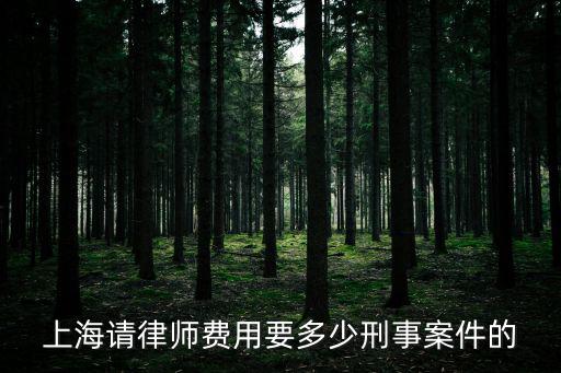 上海請律師費用要多少刑事案件的