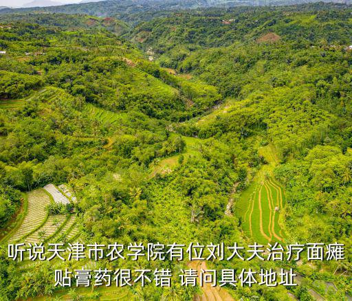 聽說天津市農學院有位劉大夫治療面癱貼膏藥很不錯 請問具體地址