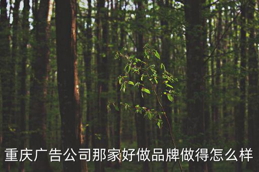 重慶市聞彤廣告有限公司，重慶廣告公司哪家專業(yè)一點