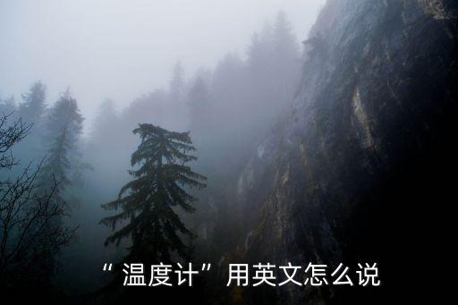 “ 溫度計”用英文怎么說