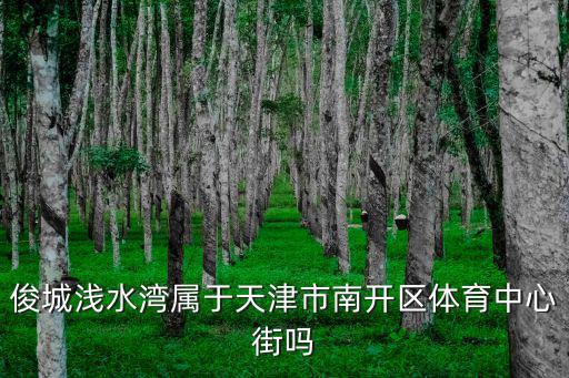 俊城淺水灣屬于天津市南開區體育中心街嗎