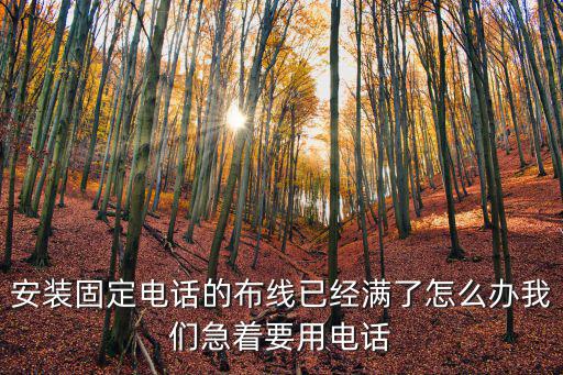 安裝固定電話的布線已經滿了怎么辦我們急著要用電話