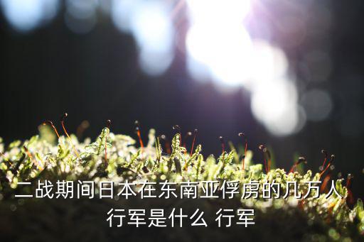 巴丹死亡行軍,巴丹行軍七萬美軍被俘兩原因:平時訓練有素