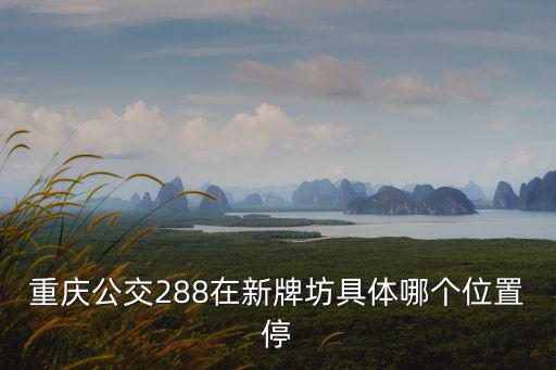 重慶公交288在新牌坊具體哪個位置停