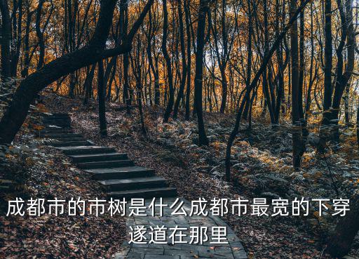 成都市的市樹是什么成都市最寬的下穿遂道在那里