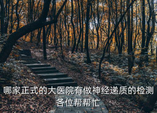 天津市安定醫院能測腦遞質嗎，哪家正式的大醫院有做神經遞質的檢測各位幫幫忙