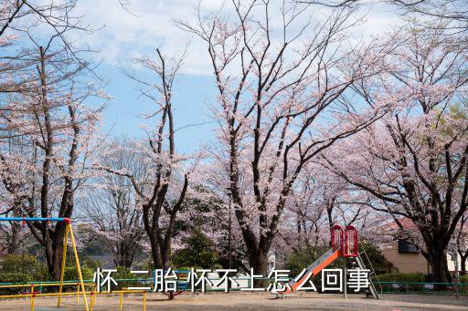 二胎老是懷不上,二胎懷不上的原因有哪些?