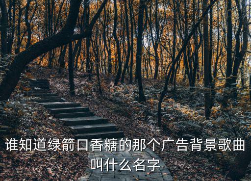 誰知道綠箭口香糖的那個廣告背景歌曲叫什么名字