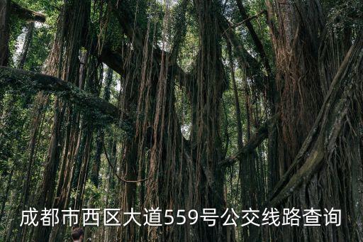 成都市西區大道559號公交線路查詢