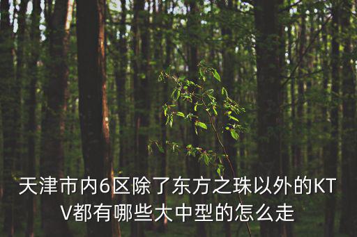 天津市各區歌廳，請問天津哪里有比較不錯的KTV
