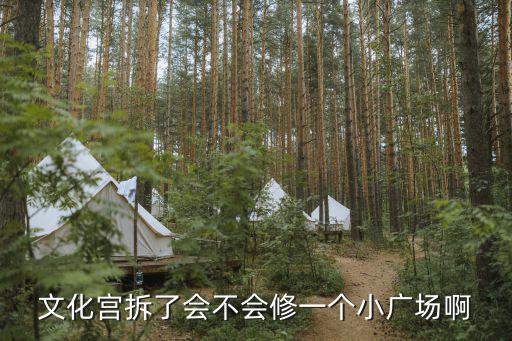 重慶市文化宮修好沒有，重慶市文化宮有沒有作文補習班