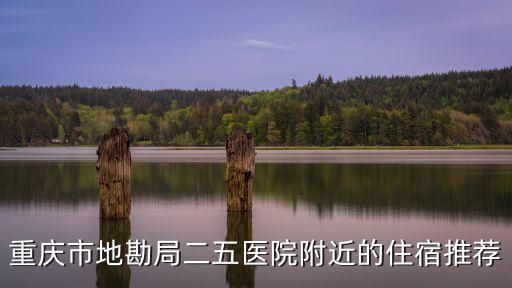 重慶市地勘局二五醫院附近的住宿推薦