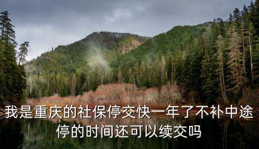 重慶市個人社保暫停期限，我是重慶的社保停交快一年了不補中途停的時間還可以續交嗎