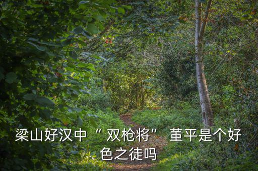 雙槍將董平,宋江珍愛董平并設伏埋伏
