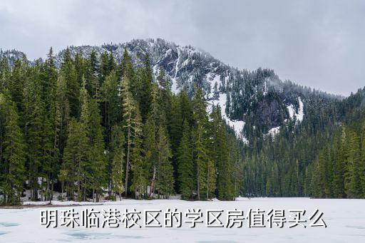 明珠臨港校區的學區房值得買么