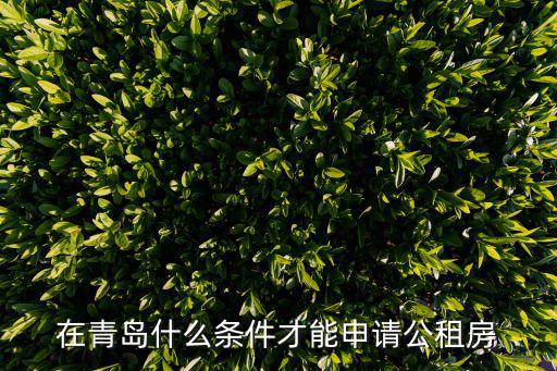 在青島什么條件才能申請(qǐng)公租房