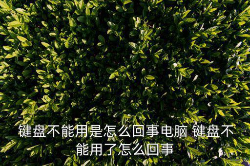 鍵盤用不了,鍵盤按鍵故障有很多種原因