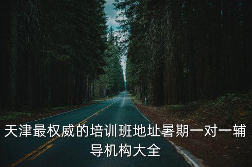 天津最權威的培訓班地址暑期一對一輔導機構大全