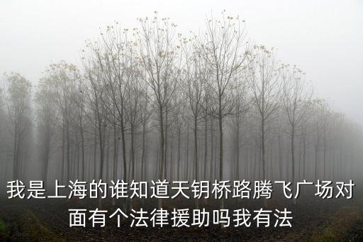 我是上海的誰知道天鑰橋路騰飛廣場對面有個法律援助嗎我有法