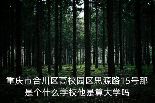 重慶市合川區高校園區思源路15號那是個什么學校他是算大學嗎