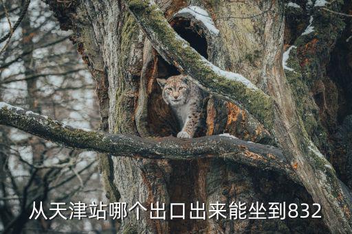 從天津站哪個出口出來能坐到832