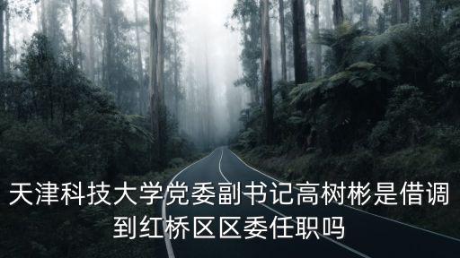 天津科技大學黨委副書記高樹彬是借調(diào)到紅橋區(qū)區(qū)委任職嗎