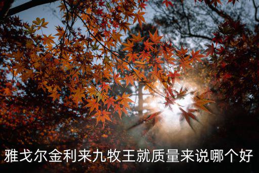雅戈?duì)柦鹄麃砭拍镣蹙唾|(zhì)量來說哪個(gè)好