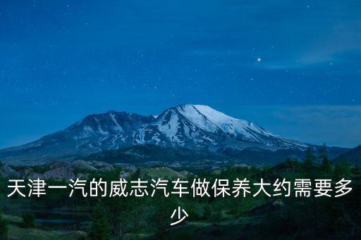 天津一汽的威志汽車做保養大約需要多少