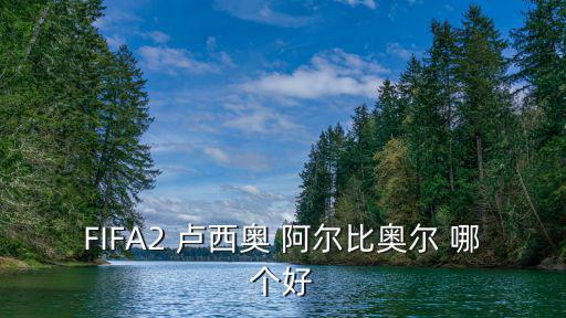 FIFA2 盧西奧 阿爾比奧爾 哪個好