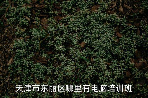 天津市東麗編程培訓，天津哪里有計算機編程的培訓學校