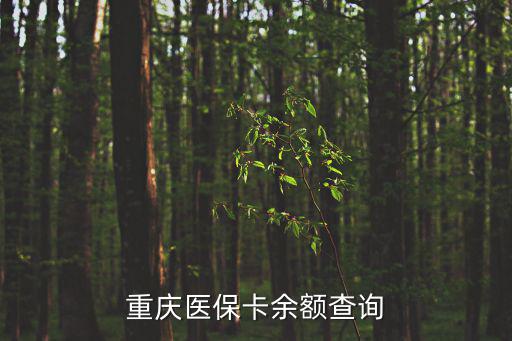 重慶醫保卡余額查詢