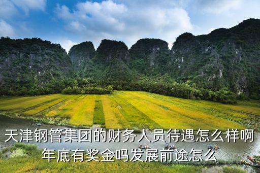 天津市華旺科技有限公司招聘會(huì)計(jì)，天津哪里設(shè)有專(zhuān)業(yè)會(huì)計(jì)公司