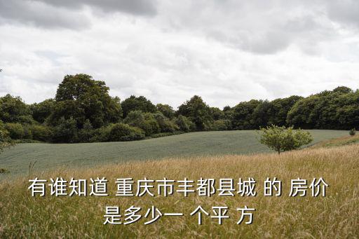 有誰知道 重慶市豐都縣城 的 房價是多少一 個平 方