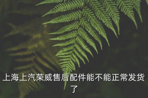 上海上汽榮威售后配件能不能正常發(fā)貨了