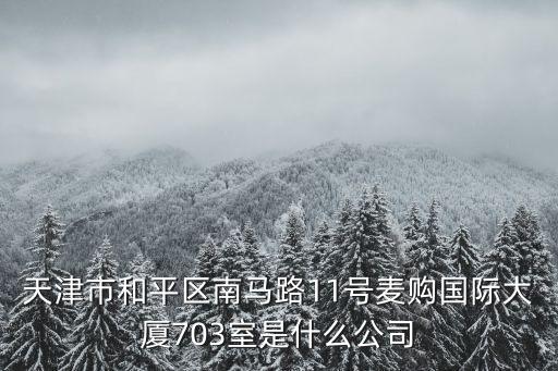 天津市創雄食品有限公司，天津市和平區南馬路11號麥購國際大廈703室是什么公司