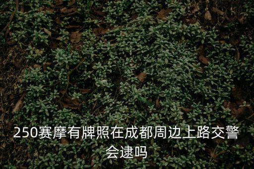 250賽摩有牌照在成都周邊上路交警會逮嗎
