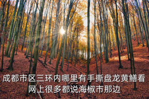 成都市區(qū)三環(huán)內(nèi)哪里有手撕盤龍黃鱔看網(wǎng)上很多都說(shuō)海椒市那邊