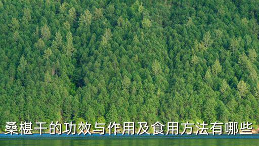 桑葚干的功效,關于桑葚干和干棗的功效