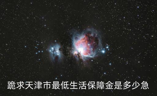 跪求天津市最低生活保障金是多少急