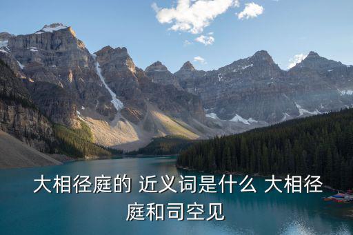 大相徑庭的近義詞,大相徑庭近義word1