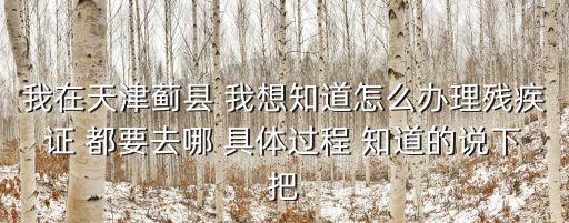 我在天津薊縣 我想知道怎么辦理殘疾證 都要去哪 具體過程 知道的說下把