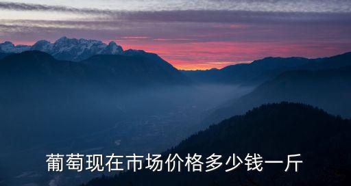 葡萄現在市場價格多少錢一斤