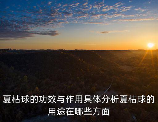 夏枯,夏枯草可以吃嗎?