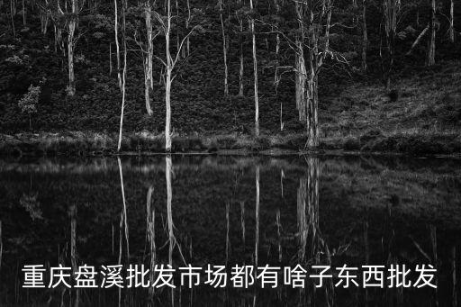 重慶市盤溪市場有賣餐包的嗎，重慶盤溪批發(fā)市場賣些什么東西