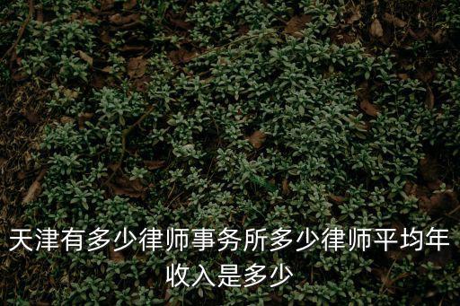 天津有多少律師事務所多少律師平均年收入是多少
