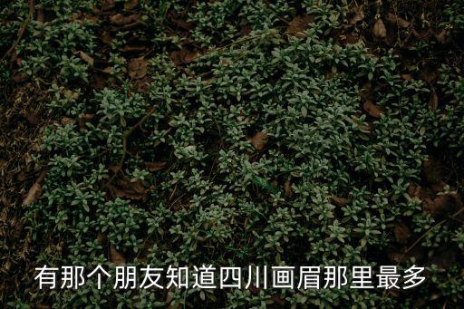 有那個(gè)朋友知道四川畫眉那里最多