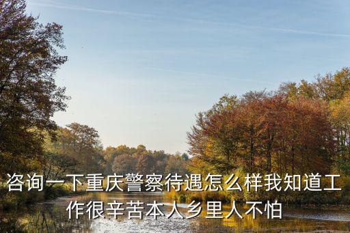 重慶市人民警察待遇，關(guān)于重慶基層民警薪水大概有多少