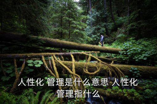 人性化管理,人性化管理是一種充分關注人性要素的管理模式