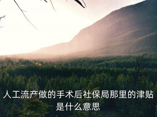 人工流產做的手術后社保局那里的津貼是什么意思