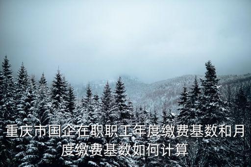 重慶市國企在職職工年度繳費基數(shù)和月度繳費基數(shù)如何計算